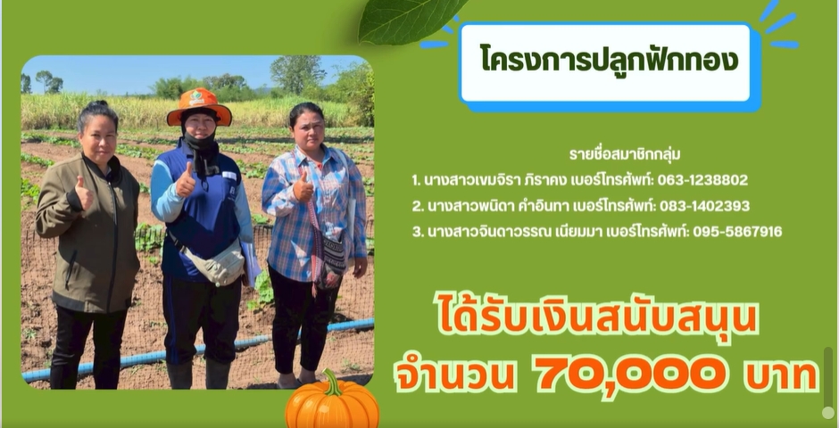 กลุ่มสตรีอำเภอวัดโบสถ์ ที่ได้รับการสนับสนุนงบประมาณในการดำเนินโครงการ "กลุ่มปลูกฟักทอง" จากกองทุนพัฒนาบทบาทสตรี