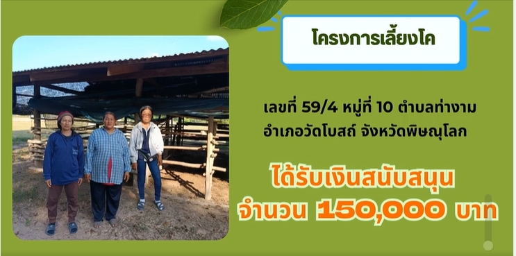 กลุ่มสตรีอำเภอวัดโบสถ์ ที่ได้รับการสนับสนุนงบประมาณในการดำเนินโครงการ "เลี้ยงโค" จากกองทุนพัฒนาบทบาทสตรี 